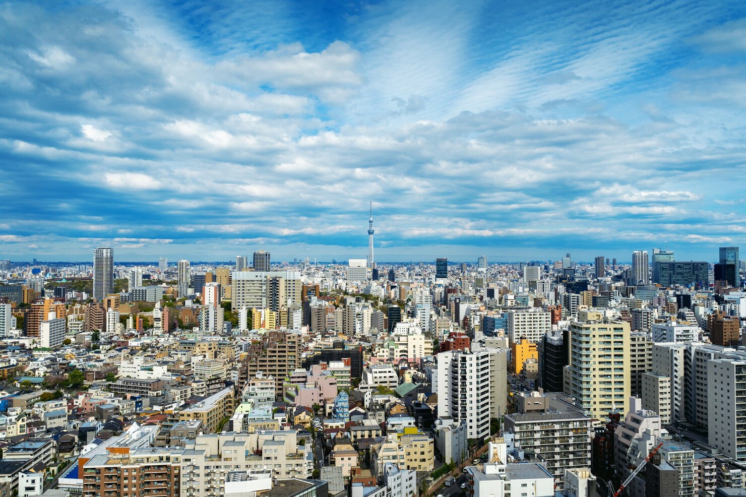panorama-tokyo-cityscape-japan_335224-246